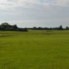 Grass Seeding September 2013